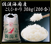 こしひかり30kg(玄米)